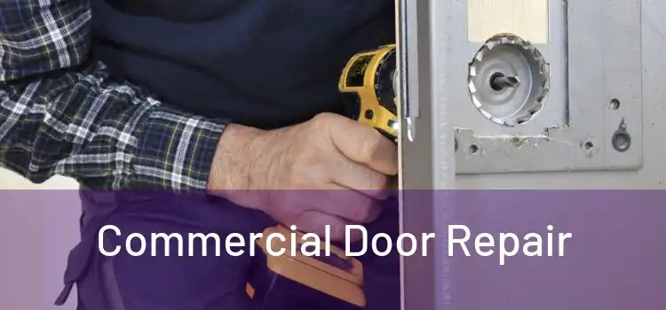  Commercial Door Repair 