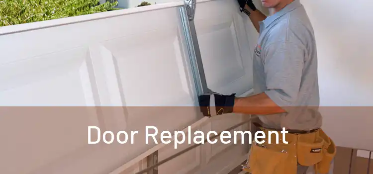  Door Replacement 